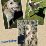 55961872_2587345871336894_2636616535375872000_n