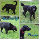 72544720_3109569975781145_819567613632839680_n