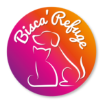 cropped-logo.png