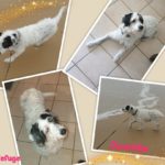 149145450_5008035922601198_20073648027611291_o