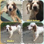 150967014_5034463829958407_5901087209530272753_o