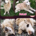 151591750_5034550649949725_6435760036520754397_o