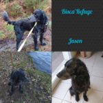 84449172_3461159963955476_8565670406189481984_o