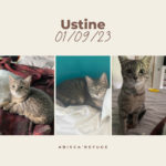 USTINE