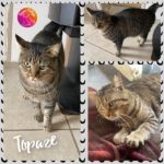 topaze