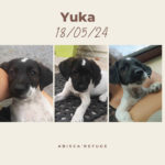 452997111_945931224227205_1009305445547654988_n