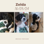 453174250_945937870893207_1140310232681289913_n