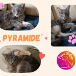 pyramide
