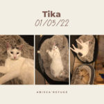 tika