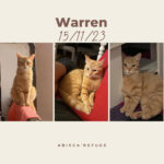 warren