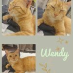 wendy