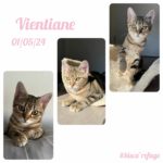 vientiane