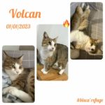 volcan