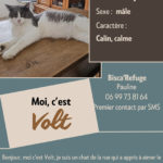 volt