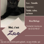 zao