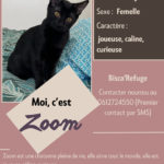 zoom