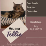 TELLIE