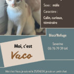 vaco
