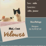 velours