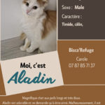 ALADIN