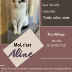 ALINE