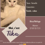 TIKA