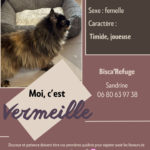 VERMEILLE