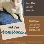 VERMISSEAU