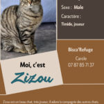 ZIZOU