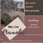 pianola