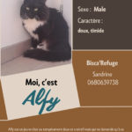alfy